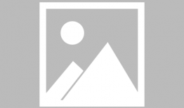 近期吃瓜爆料新闻视频下载,视频下载背后的真相大起底