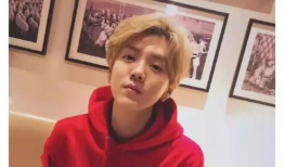 鹿晗爆料吃瓜事件视频全集,吃瓜事件视频全集深度解析